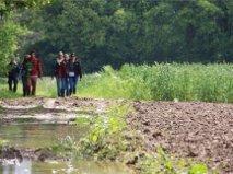 De Bosbeekpoort Villa Opglabbeek Ruang foto